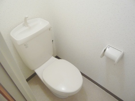 Toilet. Toilet