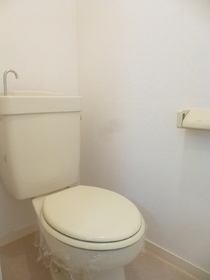 Toilet. Toilet