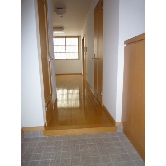 Living and room. Entrance