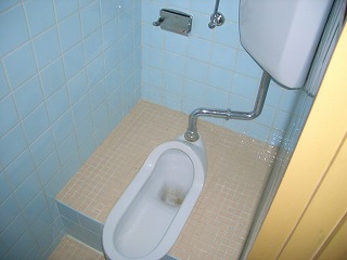 Toilet