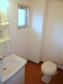 Washroom. Wash basin with