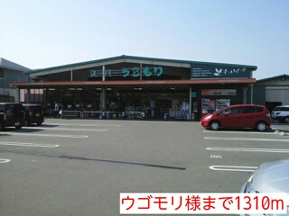 Other. Ugomori like to (other) 1310m