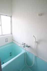 Bath. There is also a bus window