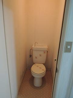 Toilet. Spacious toilet (#^.^#)