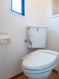 Toilet. Yes toilet window