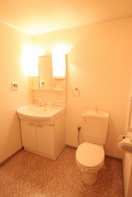 Toilet. Shampoo dresser toilet