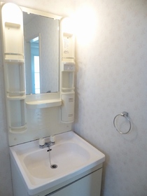 Toilet. Independent wash basin