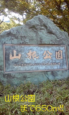 park. Yamane 650m to the park (park)