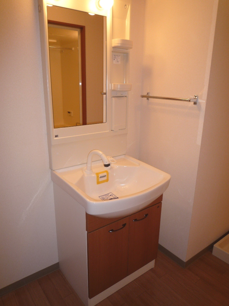 Washroom. There Vanity.