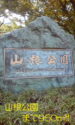 park. Yamane 950m to the park (park)