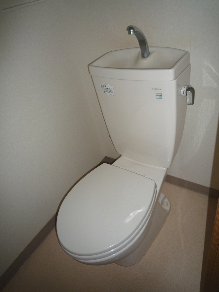 Toilet. There are flush toilets.