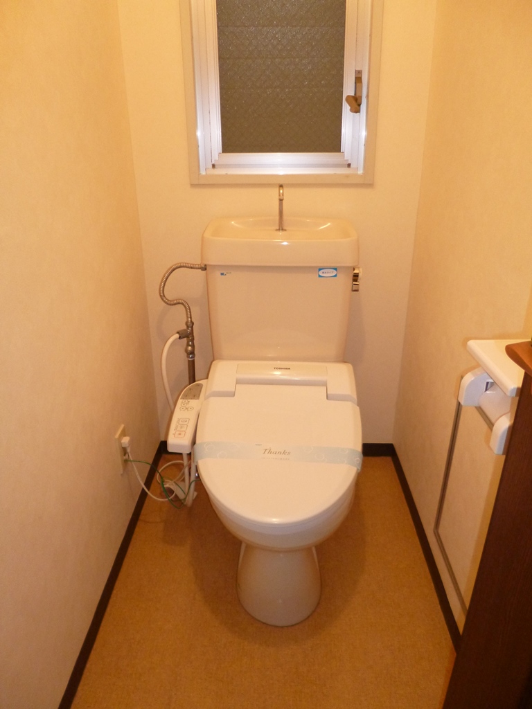 Toilet. Washlet with