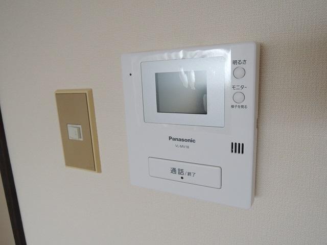 Security. Monitor phone