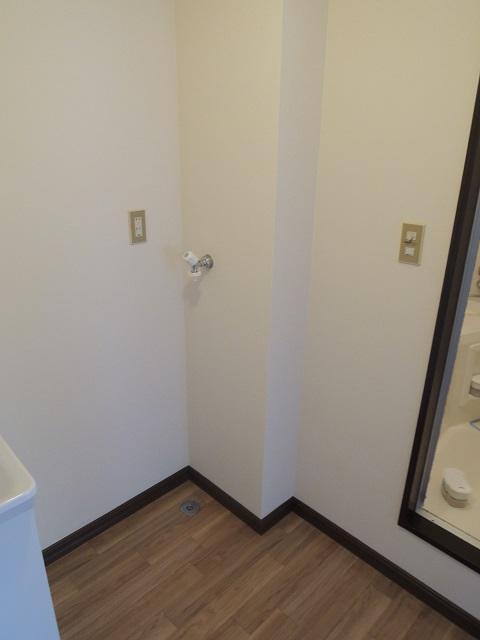 Washroom. Washing machine Storage