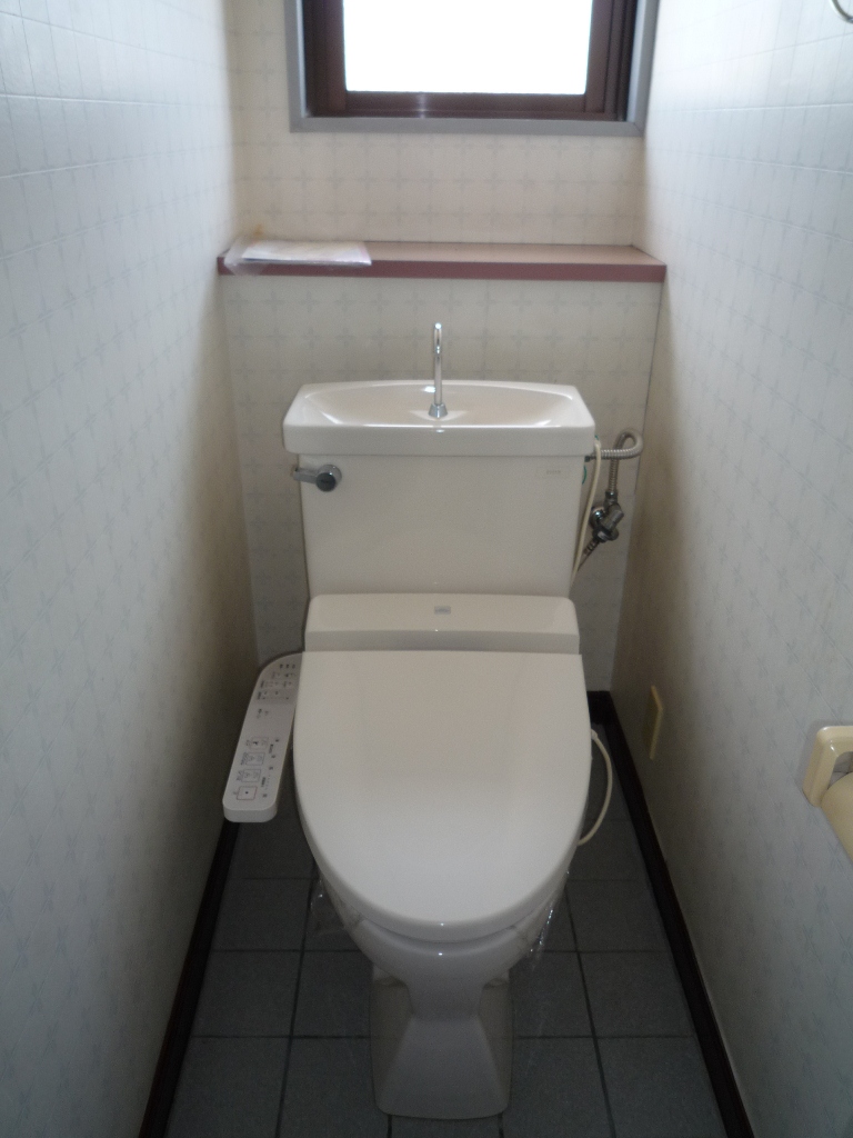 Toilet. Washlet with