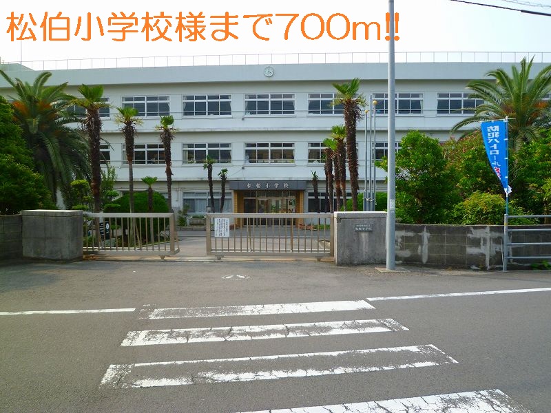Primary school. Matsuhaku elementary school like to (elementary school) 700m