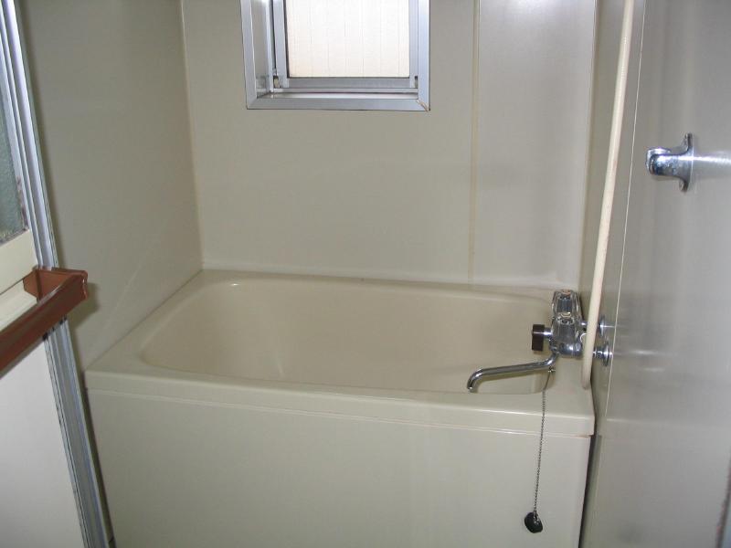 Bath. The window with the bath