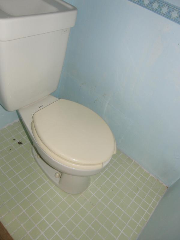 Toilet. ☆ Western-style toilet ☆