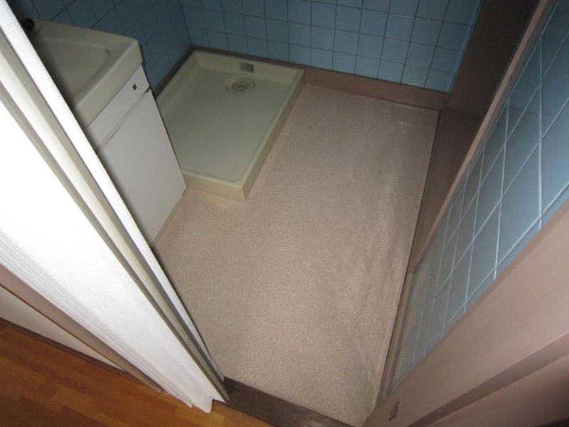 Washroom. Washing machine in the room
