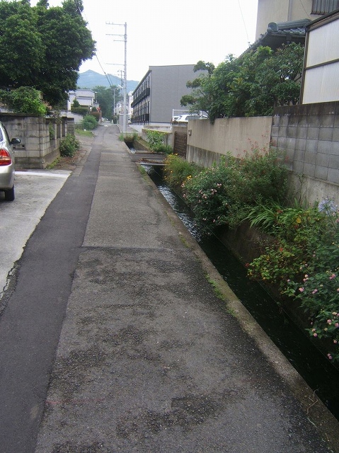 Other. Less car street, It is a quiet place.