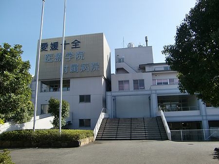 Other. It is just good for those who are better than Matsuyama from Shiquan hospital.