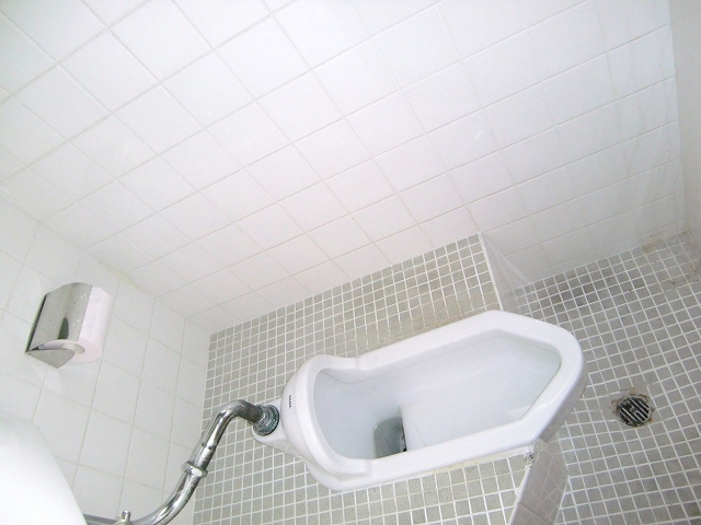 Other. It is washed with water.