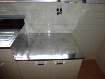 Kitchen. Gas stove Storage