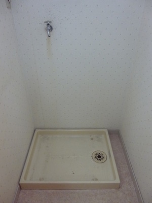 Washroom. Washing machine Storage