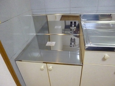 Kitchen. Gas stove Storage