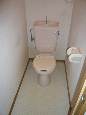 Toilet. Toilet