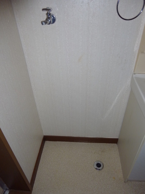 Other. Washing machine Storage