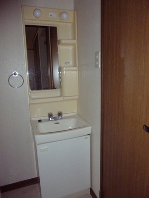 Washroom. Wash basin