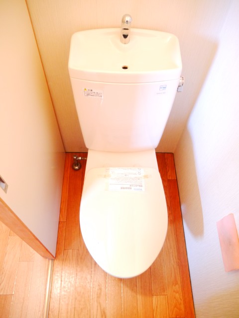 Toilet. It is a flush toilet.