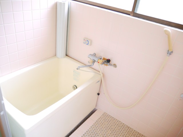 Bath. It comes with a window!