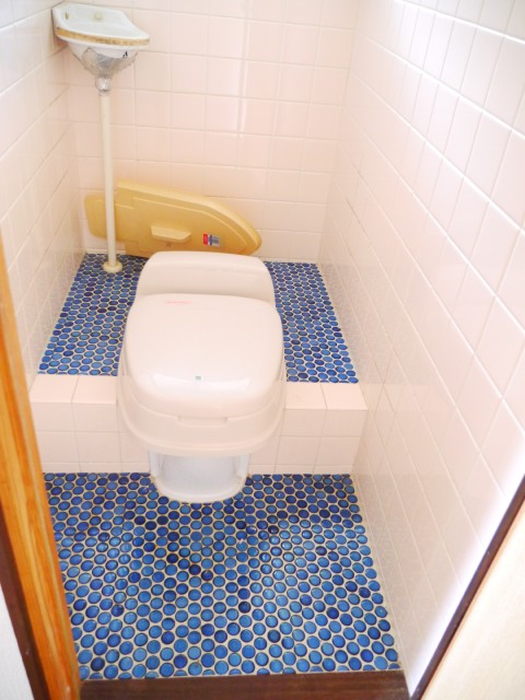 Toilet. It comes with a window.