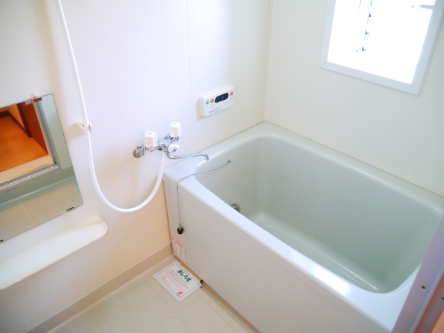 Bath. It comes with add-fired function. 