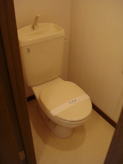 Toilet. It is a flush toilet