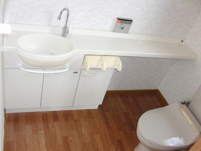 Toilet. There basin in the toilet