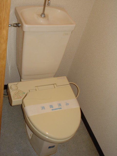 Toilet. State of the toilet. 