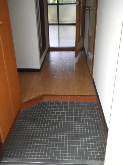 Entrance. State of the entrance. 