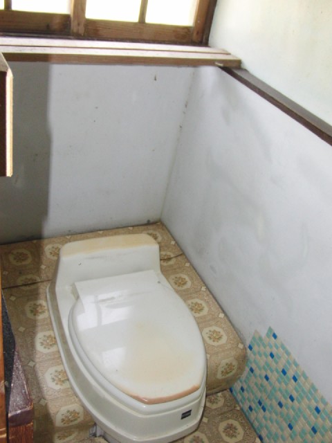 Toilet. It comes with a window! 