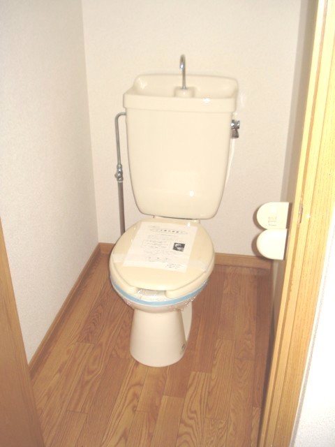 Toilet. It is the state of the toilet.