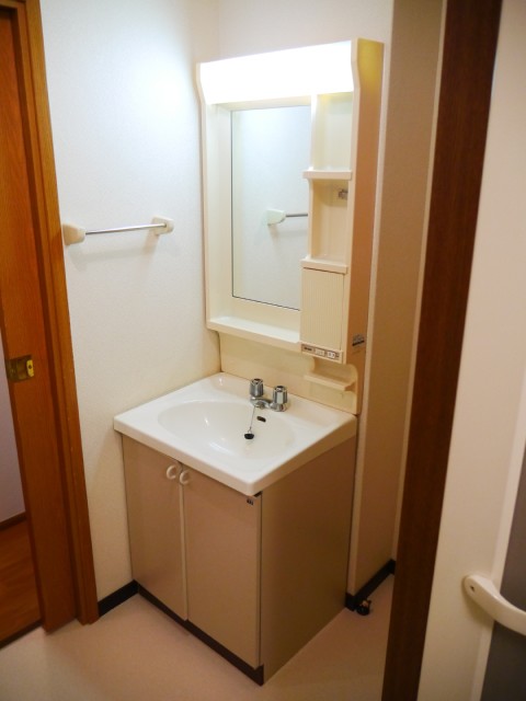 Other room space. It comes with a washroom mirror.