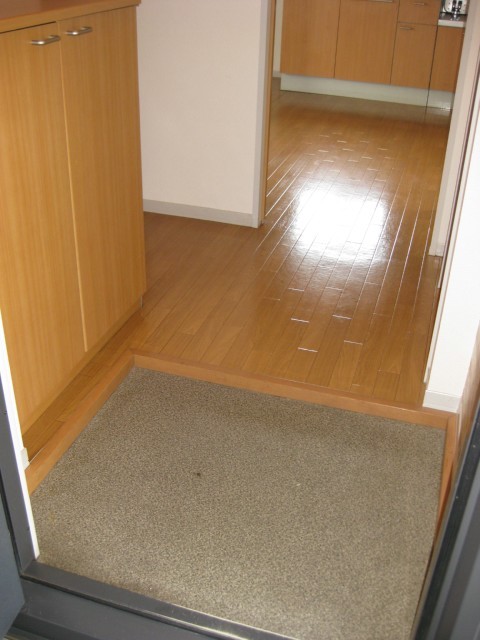 Entrance. Entrance space