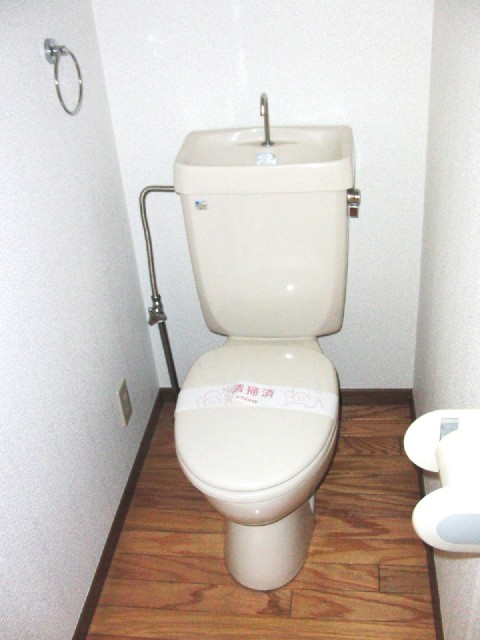 Toilet. It is a photograph of the toilet.
