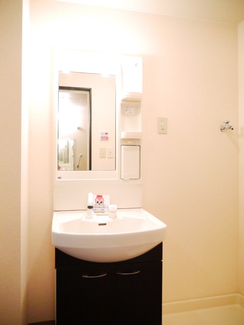 Other room space. Chic washbasin