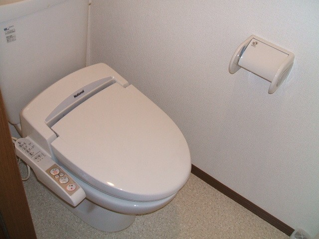 Toilet. Washlet toilet