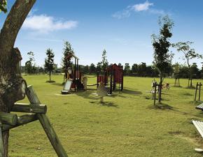 park. Warmth of lawn full of three-wheeled South Park sun, You can feel the comfort of the wind, Peace of the living environment