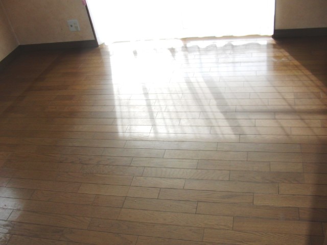 Living and room. Day is good