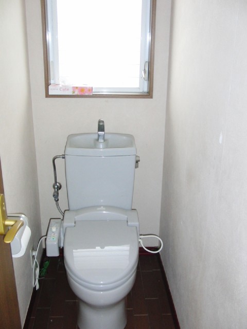 Toilet. Washlet with